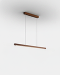 Suspension – ANOD