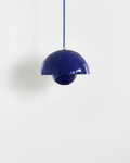 Suspension – NEDO