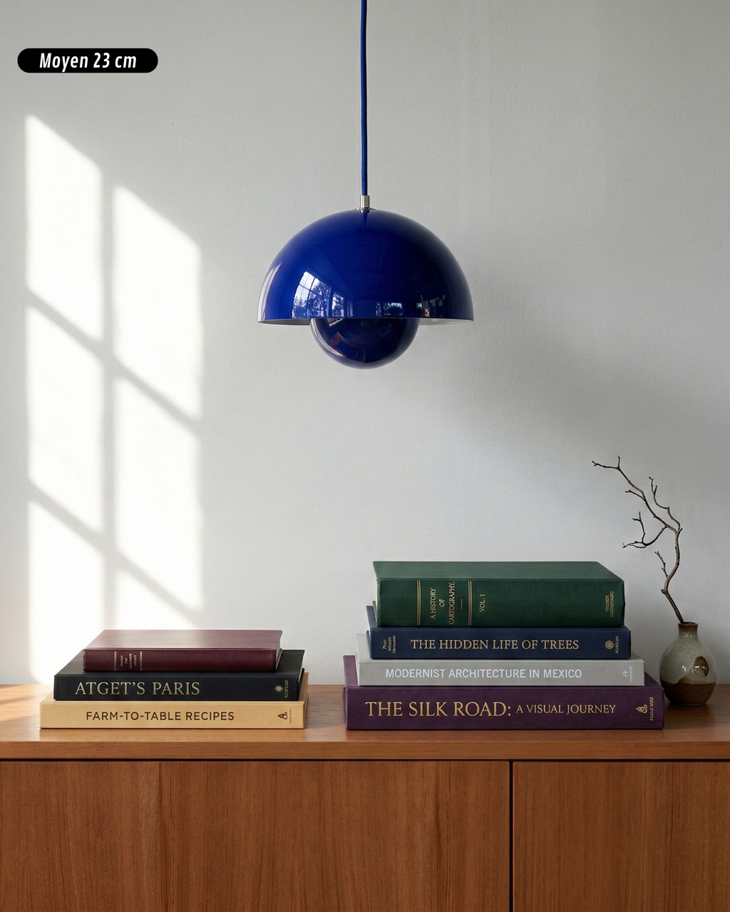 Suspension – NEDO