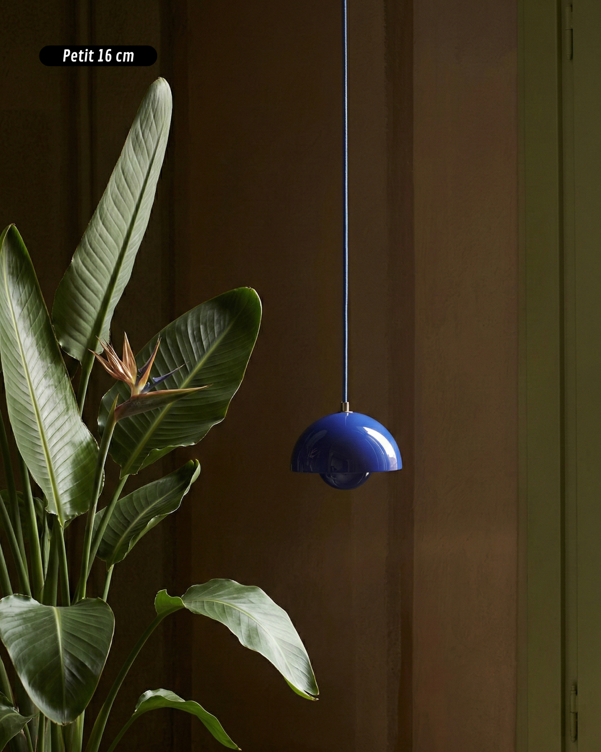 Suspension – NEDO